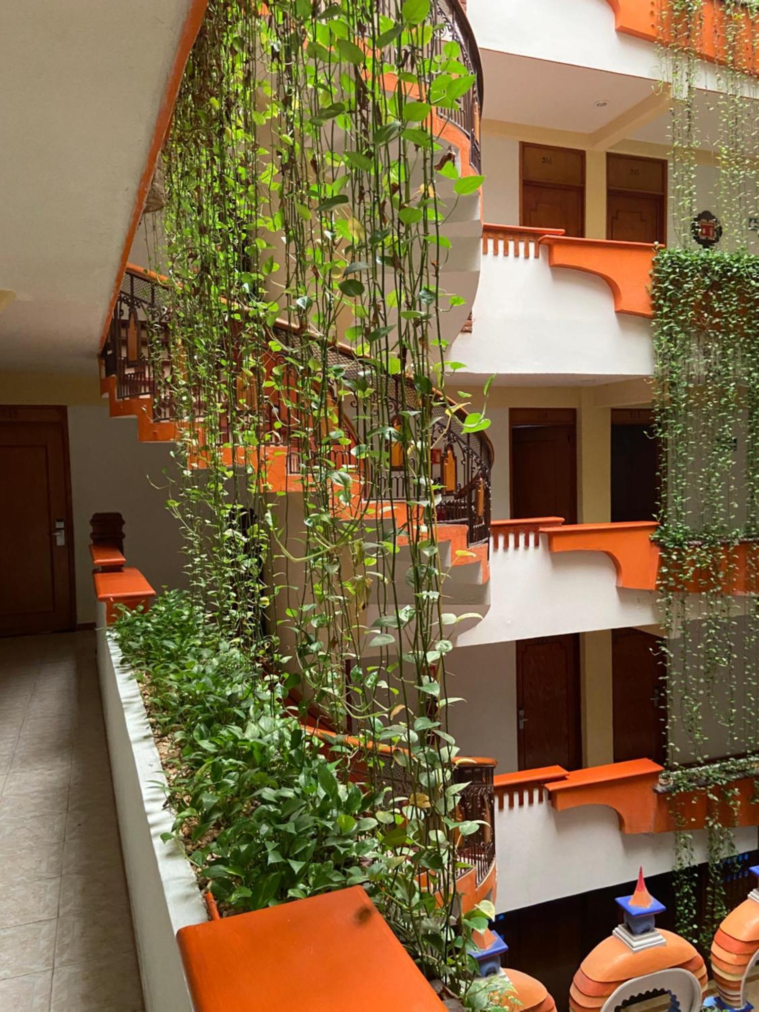 Hotel Baez Carrizal Villahermosa Εξωτερικό φωτογραφία